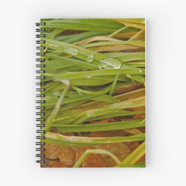 Item preview, Autumn's Morning Dew on Emerald Blades designed and sold by ShotsbyDesiree.