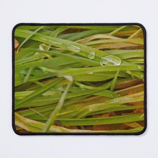 Item preview, Autumn's Morning Dew on Emerald Blades designed and sold by ShotsbyDesiree.