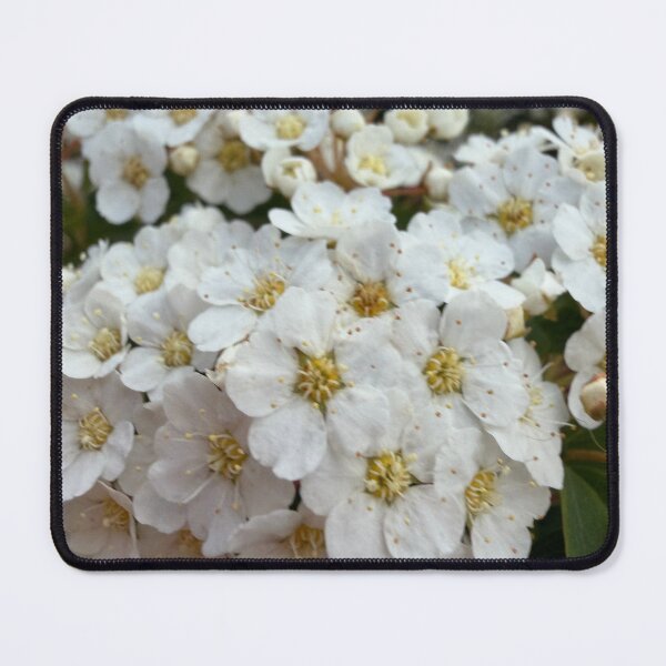 Item preview, Tiny White Flowers designed and sold by Betsy Phillips.