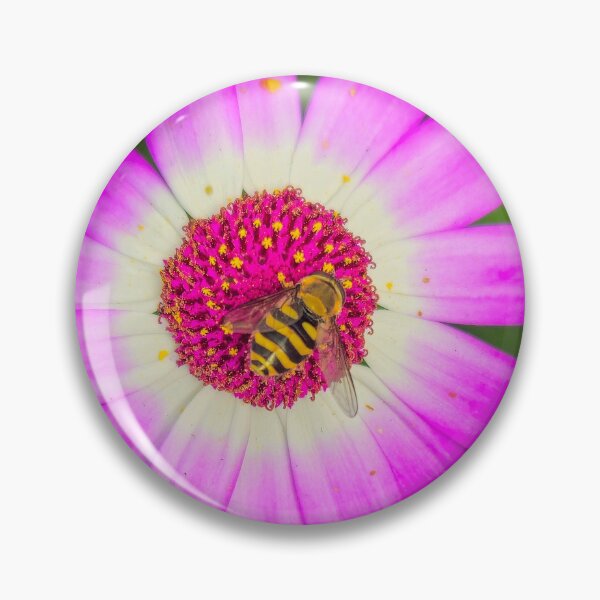Item preview, African Daisy and hoverfly designed and sold by mohawkphotography.