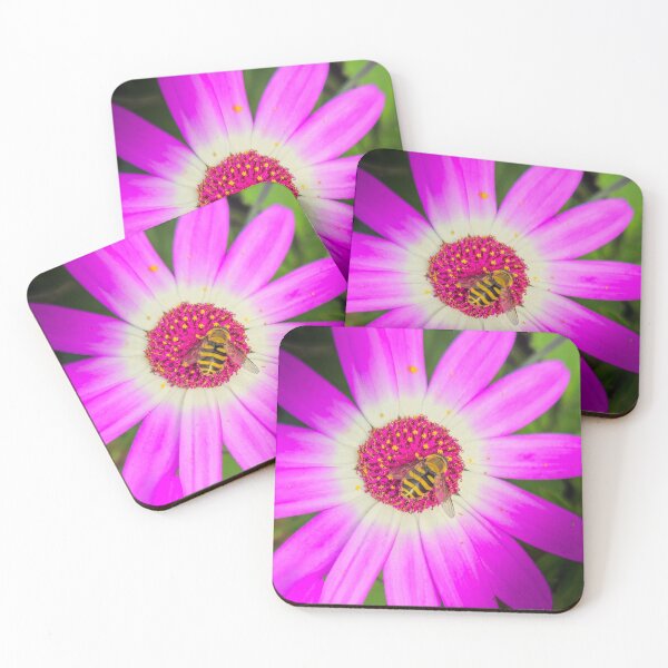 Item preview, African Daisy and hoverfly designed and sold by mohawkphotography.