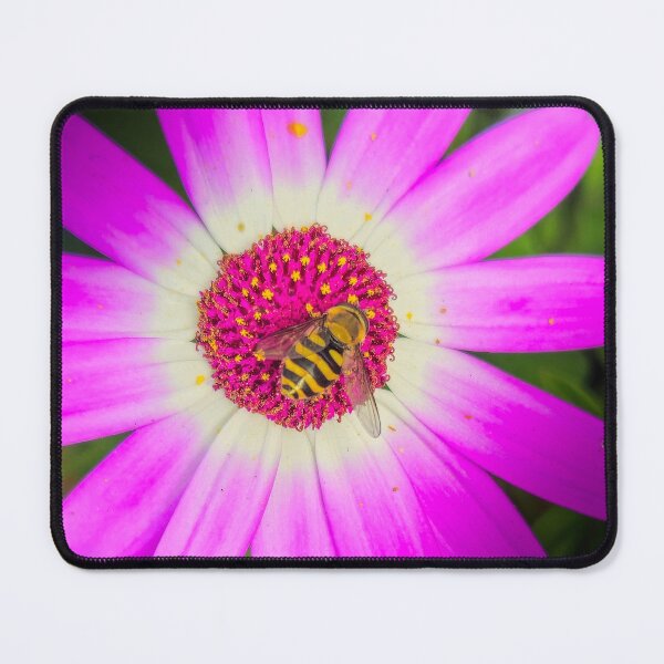 Item preview, African Daisy and hoverfly designed and sold by mohawkphotography.