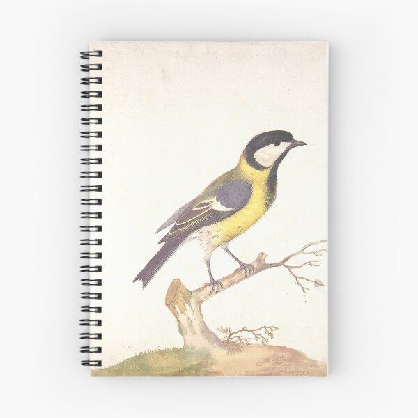 Item preview, Withoos Great Titmouse | Vintage Ornithology designed and sold by GammaRay.