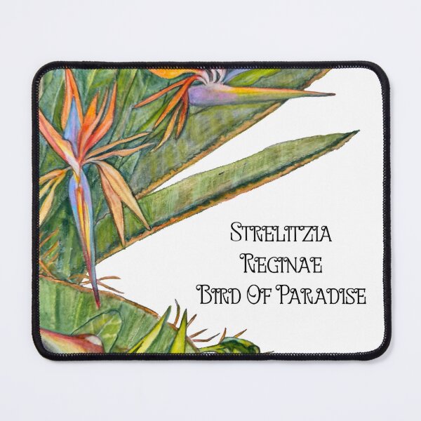 Item preview, Fuerteventura, Bird of Paradise plant designed and sold by OurShop.