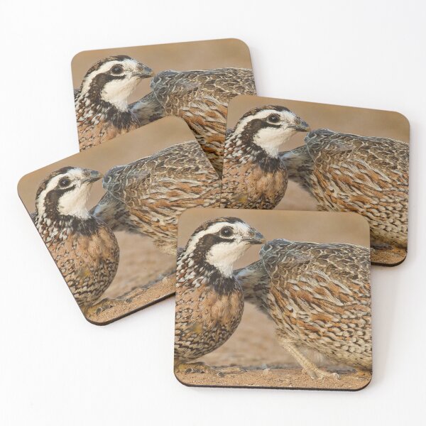 Item preview, Northern Bobwhite Pair designed and sold by Gerard Fornarotto.