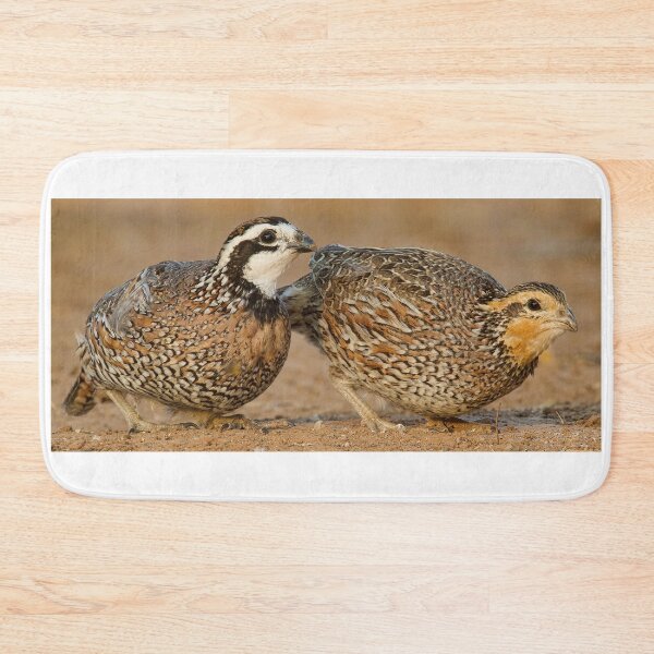 Item preview, Northern Bobwhite Pair designed and sold by Gerard Fornarotto.