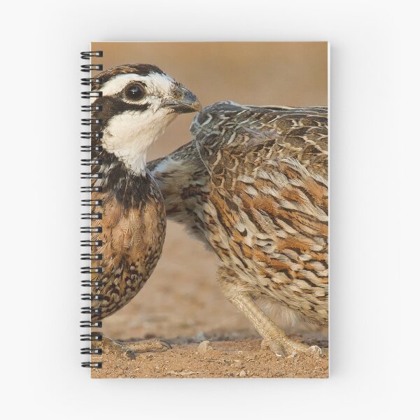 Item preview, Northern Bobwhite Pair designed and sold by Gerard Fornarotto.