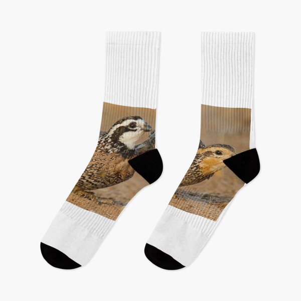 Item preview, Northern Bobwhite Pair designed and sold by Gerard Fornarotto.