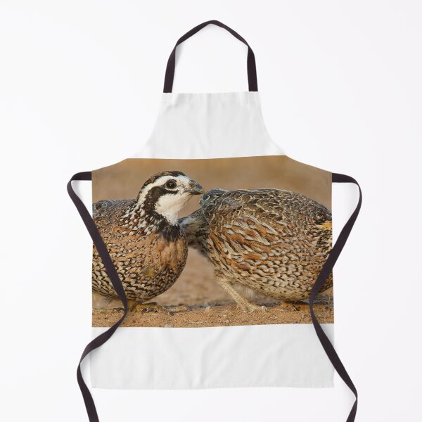 Item preview, Northern Bobwhite Pair designed and sold by Gerard Fornarotto.