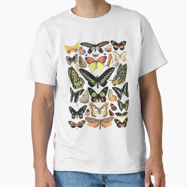 Item preview, Butterfly specimens designed and sold by monsterplanet.
