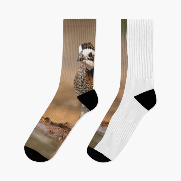 Item preview, Northern Bobwhite Stepping designed and sold by Gerard Fornarotto.