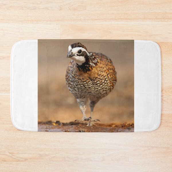 Item preview, Northern Bobwhite Stepping designed and sold by Gerard Fornarotto.