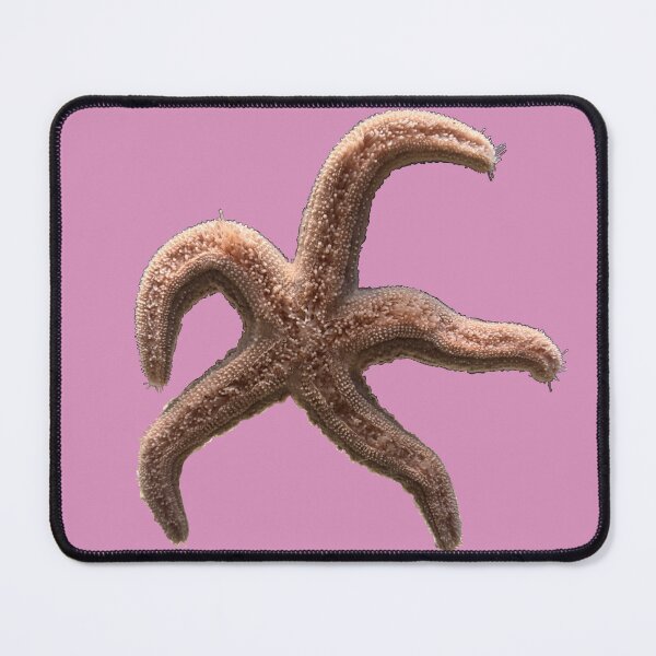 Item preview, Starfish designed and sold by redhead-autumn.
