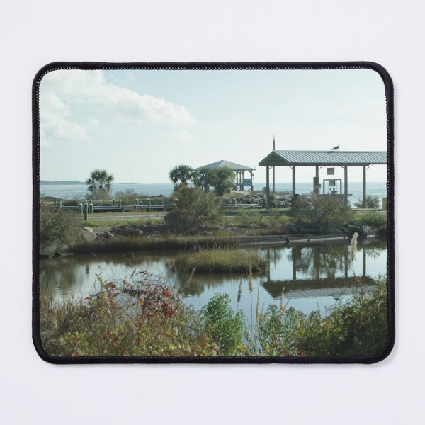Item preview, Park Scenes on the Gulf of Mexico designed and sold by MatthewThomasDaniels.