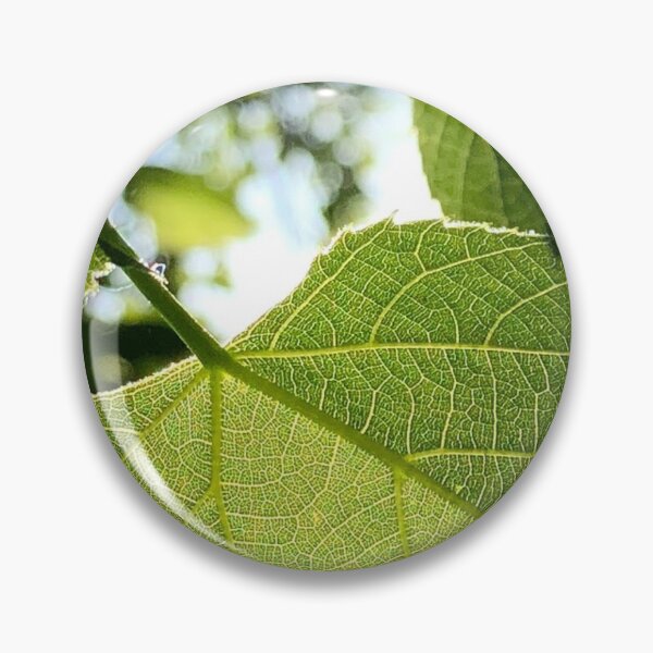 Item preview, Leaf photograph designed and sold by GiSilver.