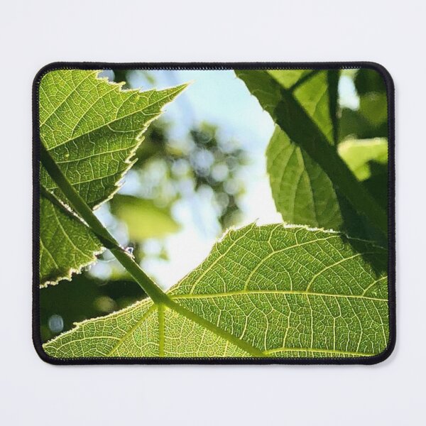 Item preview, Leaf photograph designed and sold by GiSilver.