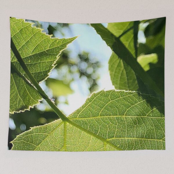 Item preview, Leaf photograph designed and sold by GiSilver.