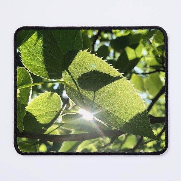 Item preview, leaf with sunspark, REAL photograph designed and sold by GiSilver.