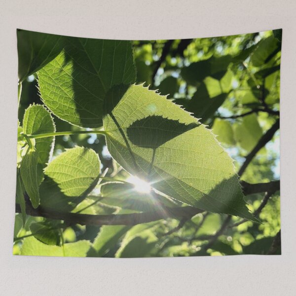 Item preview, leaf with sunspark, REAL photograph designed and sold by GiSilver.