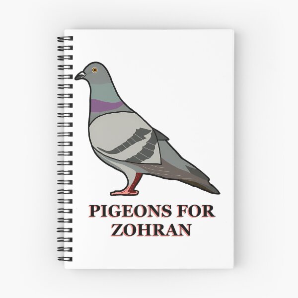 Item preview, Pigeons For Zohran designed and sold by TheReclaimedd.