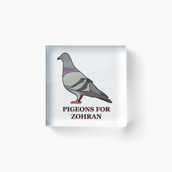 Item preview, Pigeons For Zohran designed and sold by TheReclaimedd.