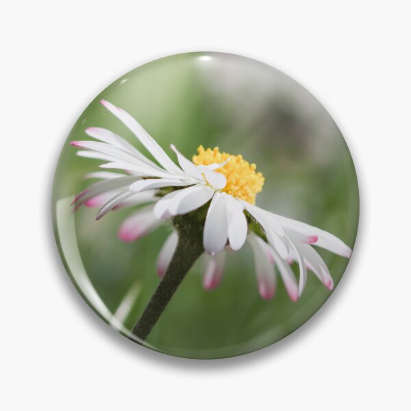 Artikelvorschau, Gentle Daisy Bloom entworfen und verkauft von little_macro_love.
