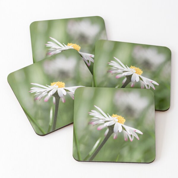 Item preview, Gentle Daisy Bloom designed and sold by little_macro_love.
