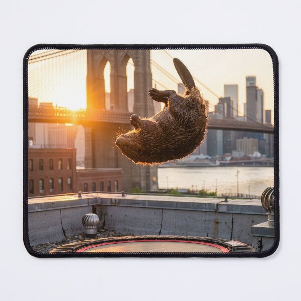 Item preview, New York City Beaver Bounces on Rooftop Trampoline designed and sold by Tridentulus.
