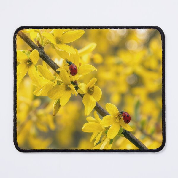 Item preview, Ladybugs on Springtime Forsythia Branch designed and sold by Maria Dryfhout.