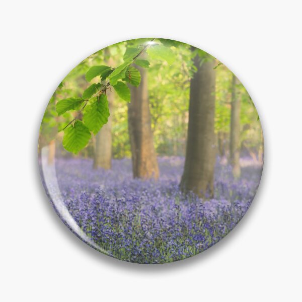 Artikelvorschau, Norfolk-Glockenblumen entworfen und verkauft von dp-images.