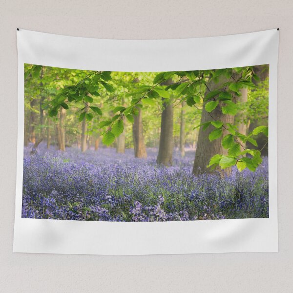 Item preview, Norfolk Bluebells designed and sold by dp-images.