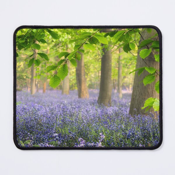 Item preview, Norfolk Bluebells designed and sold by dp-images.