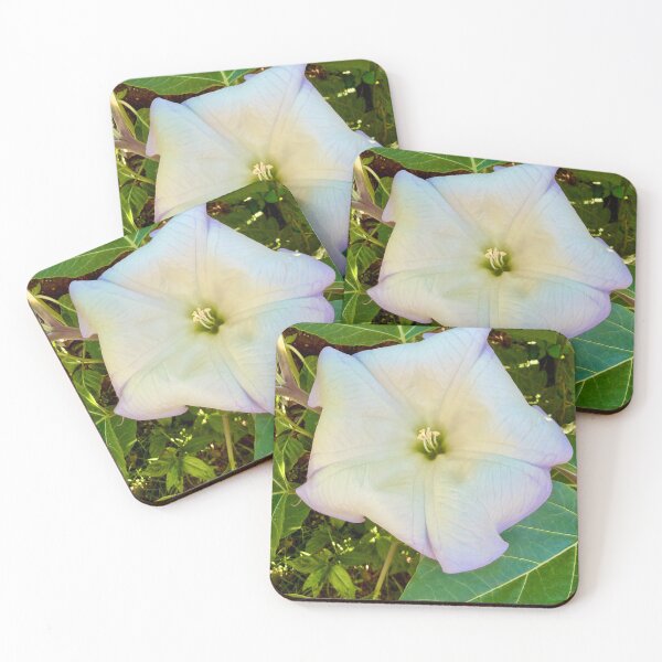 Item preview, Moonflower designed and sold by Marielle Valenzuela.