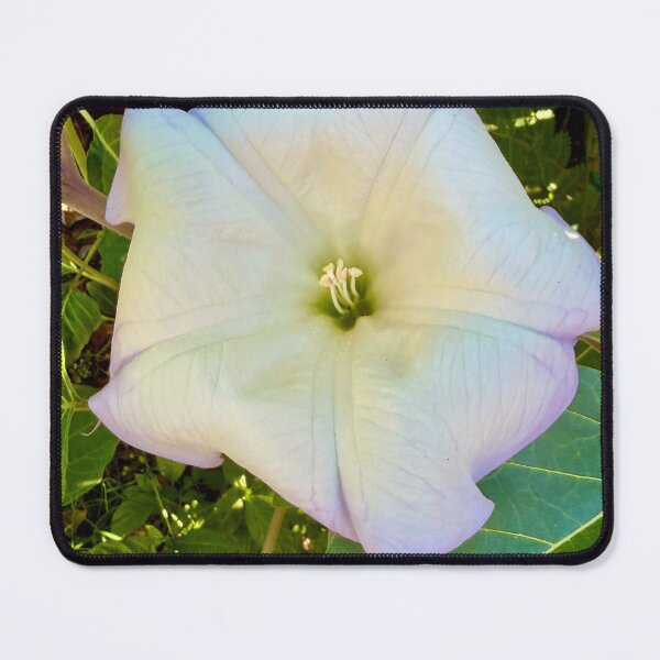 Item preview, Moonflower designed and sold by Marielle Valenzuela.