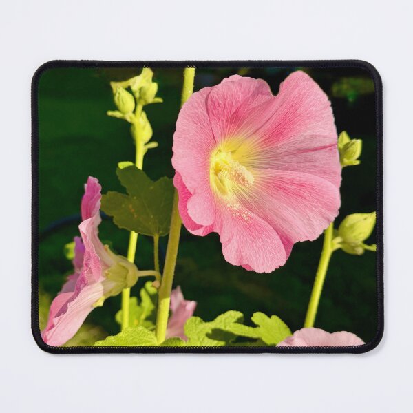Item preview, Hollyhocks designed and sold by Marielle Valenzuela.