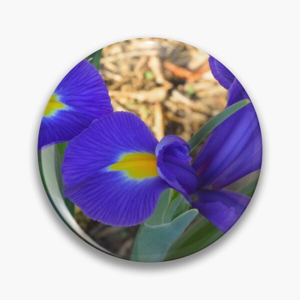 Item preview, Vibrant Purple Irises in Bloom designed and sold by LisaWootenPhoto.