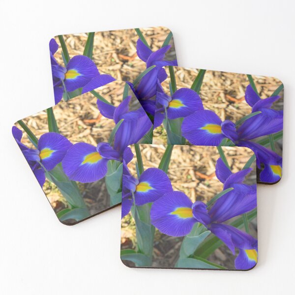 Item preview, Vibrant Purple Irises in Bloom designed and sold by LisaWootenPhoto.