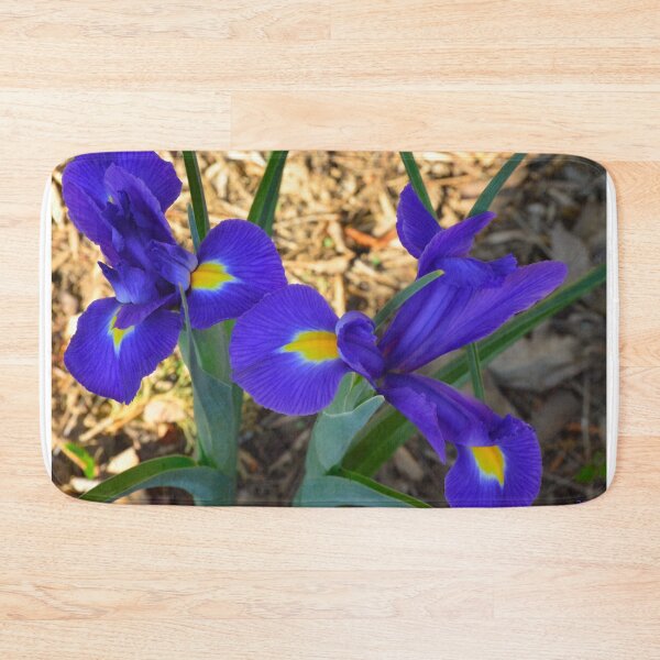 Item preview, Vibrant Purple Irises in Bloom designed and sold by LisaWootenPhoto.