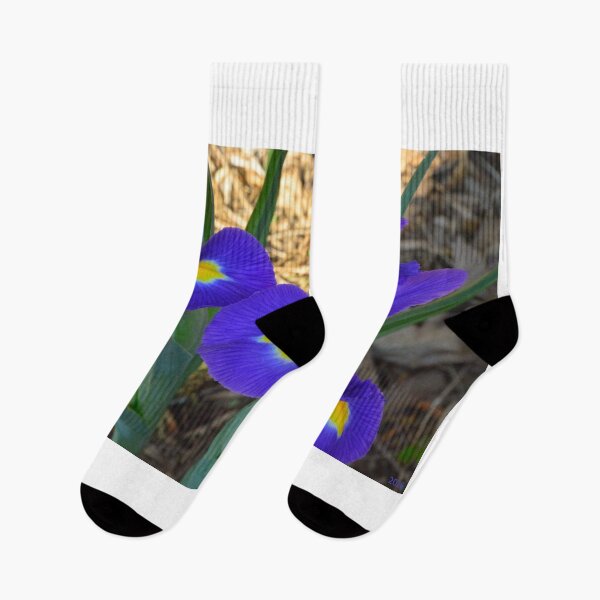 Item preview, Vibrant Purple Irises in Bloom designed and sold by LisaWootenPhoto.