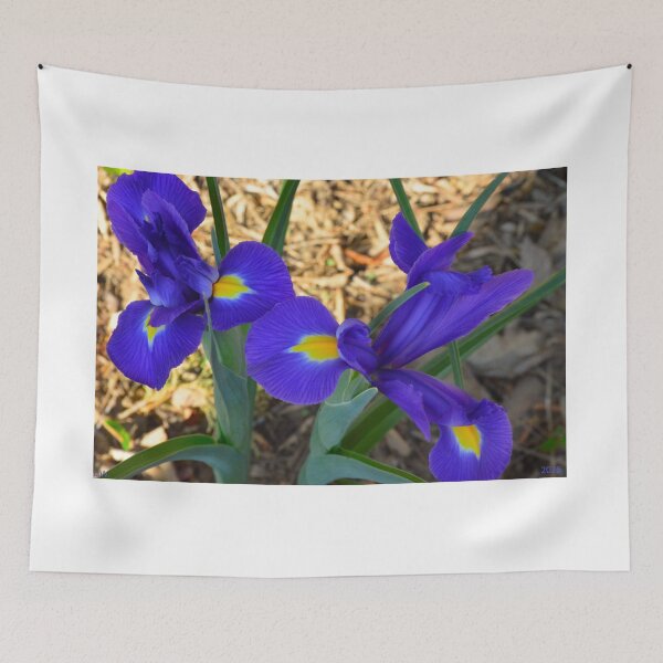 Item preview, Vibrant Purple Irises in Bloom designed and sold by LisaWootenPhoto.