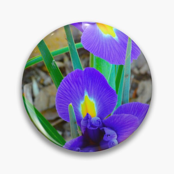Item preview, Vibrant Purple Irises in Bloom Vertical designed and sold by LisaWootenPhoto.