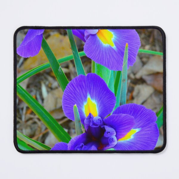 Item preview, Vibrant Purple Irises in Bloom Vertical designed and sold by LisaWootenPhoto.