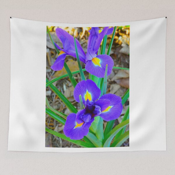 Item preview, Vibrant Purple Irises in Bloom Vertical designed and sold by LisaWootenPhoto.