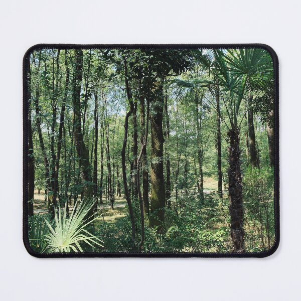 Item preview, Lush Green Forest with Tropical Palm Trees designed and sold by BalkanBloom.