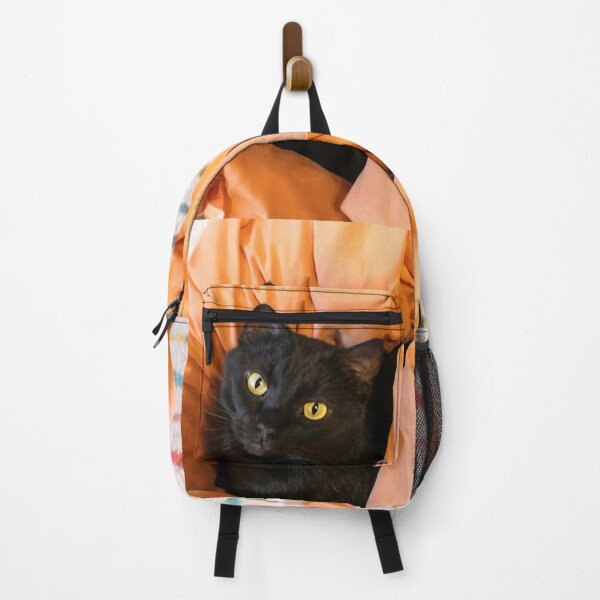 Item preview, Cute Black Cat designed and sold by Frankie Cat Photography.