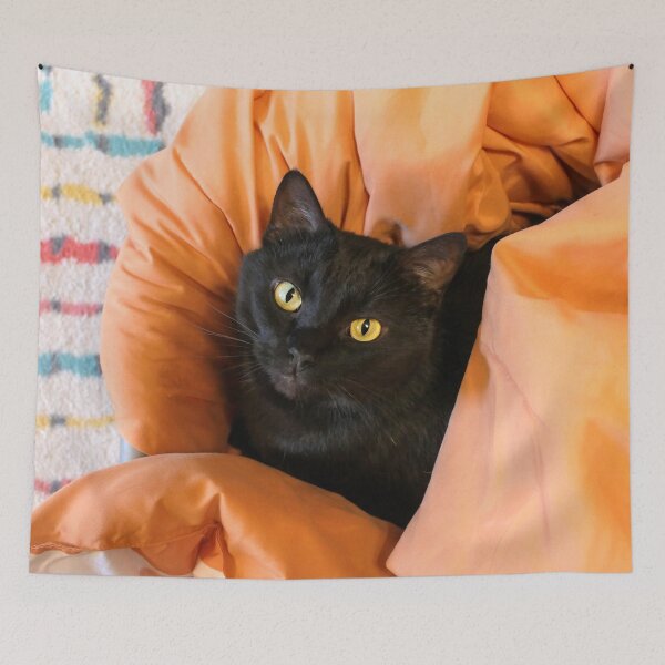 Item preview, Cute Black Cat designed and sold by Frankie Cat Photography.