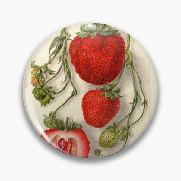 Item preview, Fragaria Outlander Wild Strawberries Botanical Illustration designed and sold by Glimmersmith.