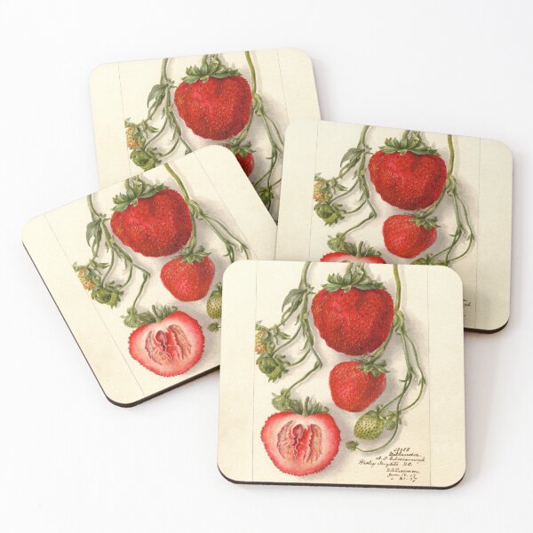 Item preview, Fragaria Outlander Wild Strawberries Botanical Illustration designed and sold by Glimmersmith.