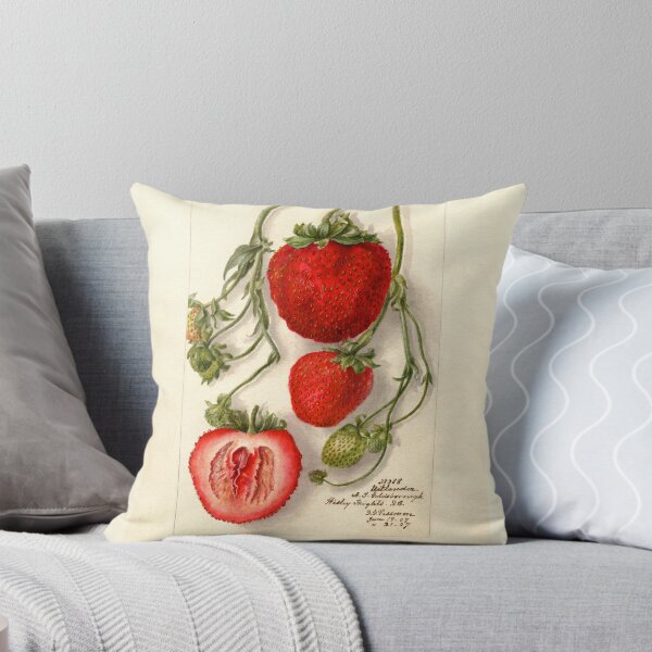 Item preview, Fragaria Outlander Wild Strawberries Botanical Illustration designed and sold by Glimmersmith.
