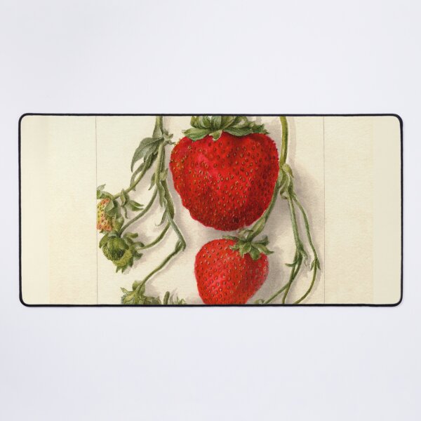 Item preview, Fragaria Outlander Wild Strawberries Botanical Illustration designed and sold by Glimmersmith.